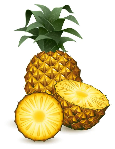 Illustration Vectorielle Ananas Isolé Sur Blanc — Image vectorielle