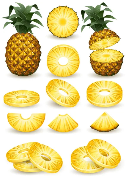 Vektorillustration Ananas Isolerad Vit — Stock vektor