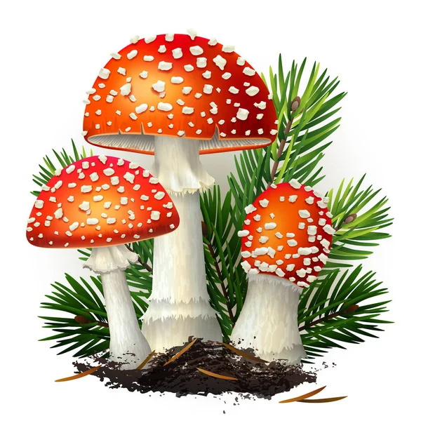 Ilustração Vetorial Conjunto Cogumelos Amanita Isolado Fundo Branco Eps — Vetor de Stock