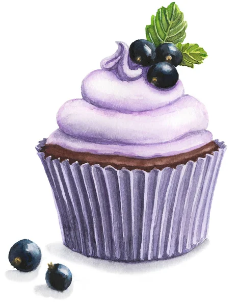 Hand Drawn Watercolor Illustration Black Currant Cupcake Isolated White Background — Stock Photo, Image