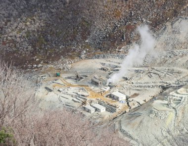 Japon kükürt benim genel planı