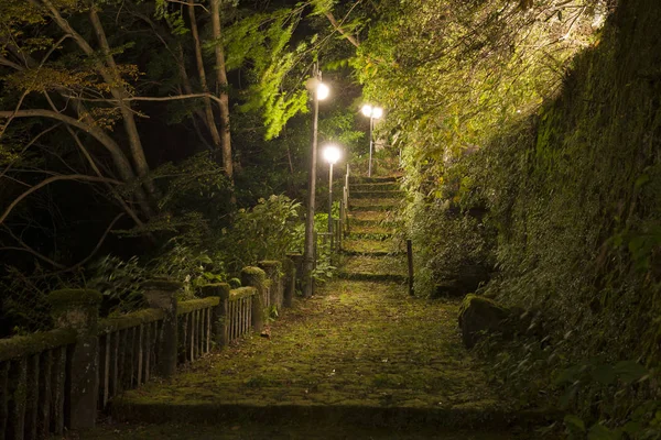 Viejo Río Japonés Terraplén Noche — Foto de Stock