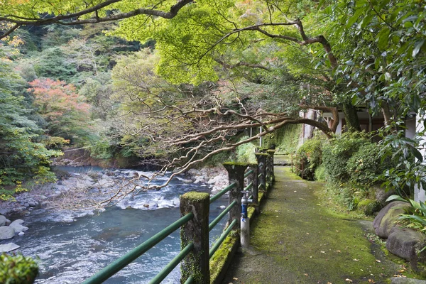 Japán Folyó Rakparton Moha — Stock Fotó