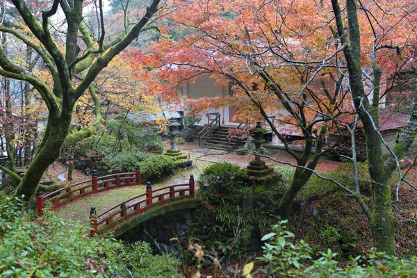 Ponte Japonesa Floresta Bordo Outono — Fotografia de Stock