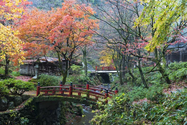 Puente Japonés Bosque Arce Otoño — Foto de Stock