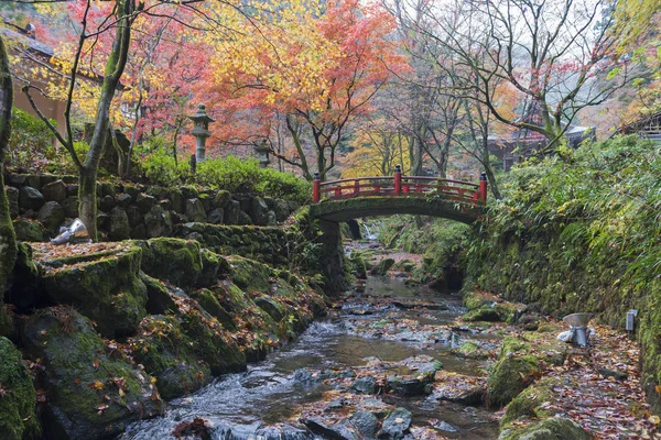 Japonský Most Podzimním Lese Javor — Stock fotografie