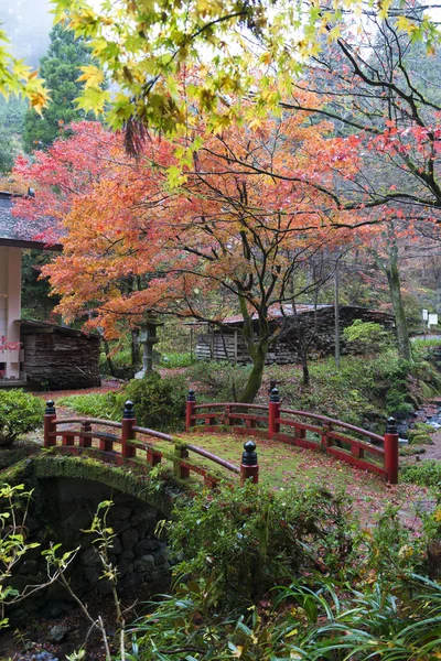 Japanische Brücke Herbstlichen Ahornwald — Stockfoto