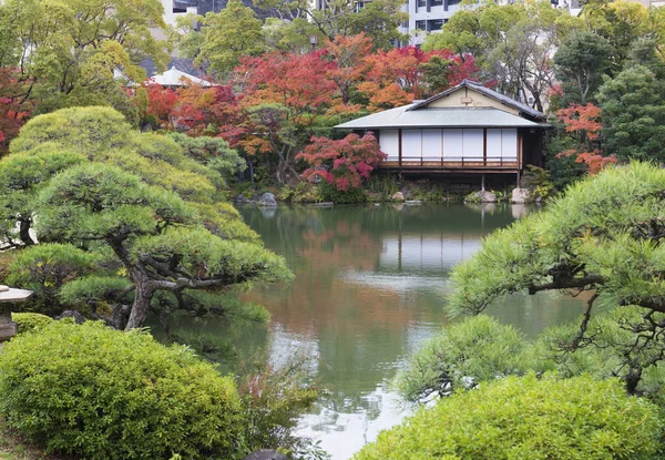 秋のモミジと伝統的な日本の公園 — ストック写真
