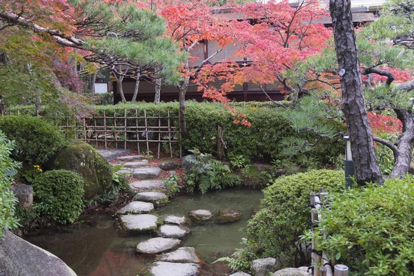 Parque Japonês Tradicional Com Maples Outono — Fotografia de Stock