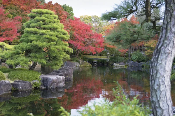 Parque Japonês Tradicional Com Maples Outono — Fotografia de Stock