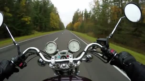 Motocicleta Andando Bela Estrada Arborizada Amplo Ponto Vista Piloto Cruzador — Vídeo de Stock