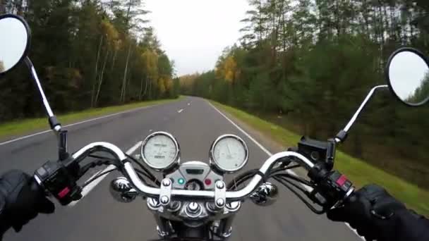 Езда Мотоцикле Красивой Лесной Дороге Широкая Точка Зрения Всадника Классический — стоковое видео