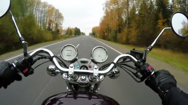 Motociclismo Rápido Bela Estrada Arborizada Amplo Ponto Vista Piloto Cruzador — Vídeo de Stock