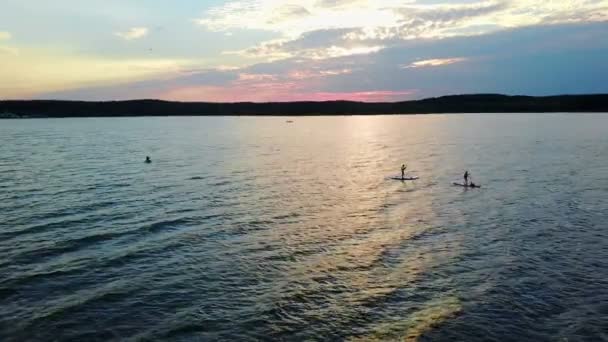 Gün Batımında Gölü Sup Sörf Yükselen Güneş Işınlarının Bir Sup — Stok video