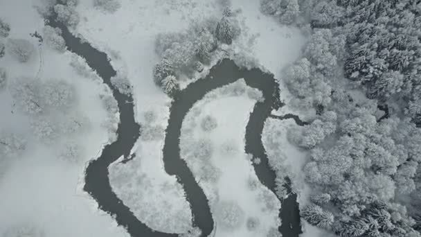 Letu Nad Mraky Divoká Řeka Vinutí Zmrazených Lese Snowly Zima — Stock video