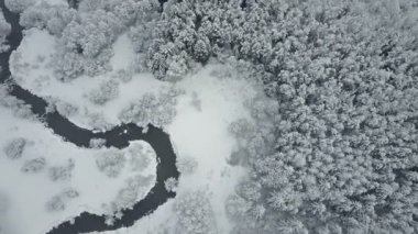 4 k. uçuş bulutlar ve donmuş ormanda vahşi sarma Nehri üzerinde. SnowLy kış kuzeyde. Havadan panoramik görünümü. 