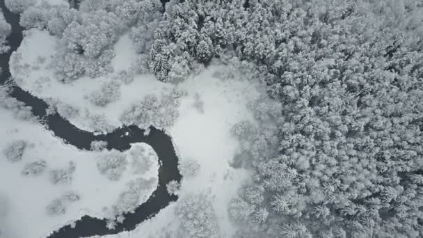 Voo Acima Nuvens Rio Sinuoso Selvagem Floresta Congelada Inverno Nevado — Vídeo de Stock