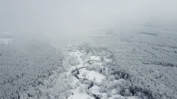 Flug Über Wild Gewundenen Fluss Gefrorenem Wald Bei Nebligem Wetter — Stockvideo