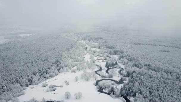 Letu Nad Divokou Řeku Vinutí Zmrazených Lese Mlhavé Počasí Snowly — Stock video
