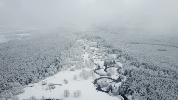 Flug Über Wild Gewundenen Fluss Gefrorenem Wald Bei Nebligem Wetter — Stockvideo