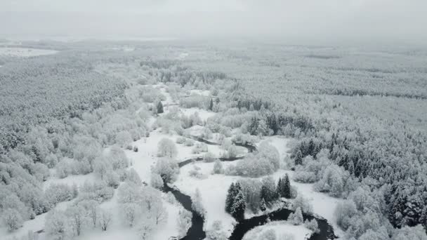 Flug Über Wild Gewundenen Fluss Und Gefrorenen Wald Schnee Norden — Stockvideo