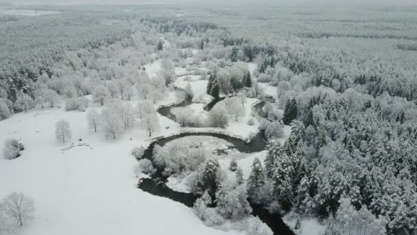 Låg Flygning Över Slingrande Floden Frysta Skog Dimmigt Väder Panorama — Stockvideo