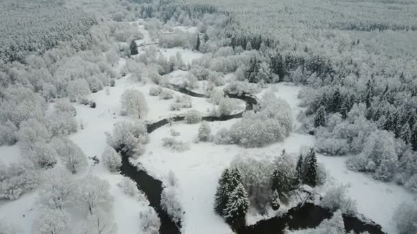 在结冰的森林里 在蜿蜒的河流上低空飞行 美丽的冬谷鸟瞰图 — 图库视频影像
