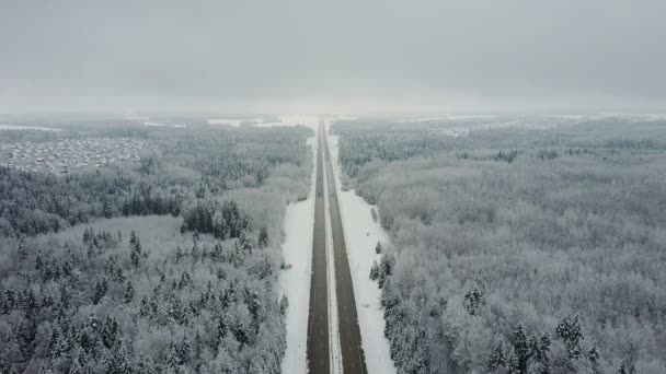 Дорога Замерзшем Зимнем Лесу Вождением Автомобилей Вид Воздуха Перспектива Исчезновения — стоковое видео