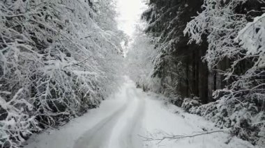 4 k. düşük uçuş donmuş kış orman dalları arasında kırsal yol üzerinde. Havadan panoramik görünümü.