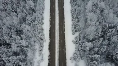 4 k. uçuş yolda araba sürmek ile dondurulmuş kış orman üzerinde. Hava Üstten Görünüm.