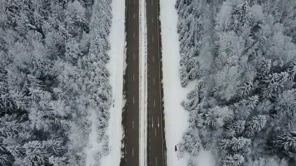 4K. Vol au-dessus de la route dans la forêt gelée d'hiver avec des voitures de conduite. Vue aérienne du dessus .