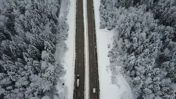 飛行車の運転で凍結の冬の森の道路上 空中パノラマ ビュー 消失点の透視図法 — ストック動画