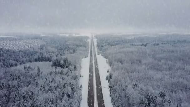 Strada Nella Foresta Invernale Con Guida Auto Nevicate Vista Panoramica — Video Stock