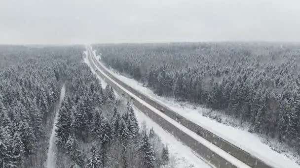 Road Skogen Vintern Med Att Köra Bilar Snöfall Panoramautsikt Över — Stockvideo