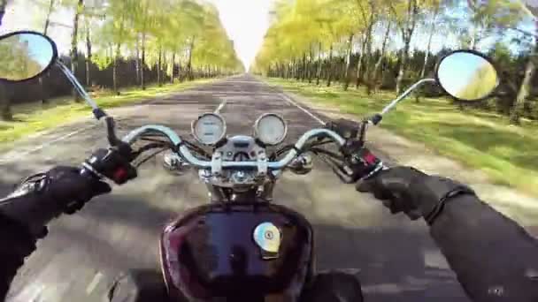 Motocicleta Incrível Andando Bela Estrada Cruzador Helicóptero Clássico Para Sempre — Vídeo de Stock