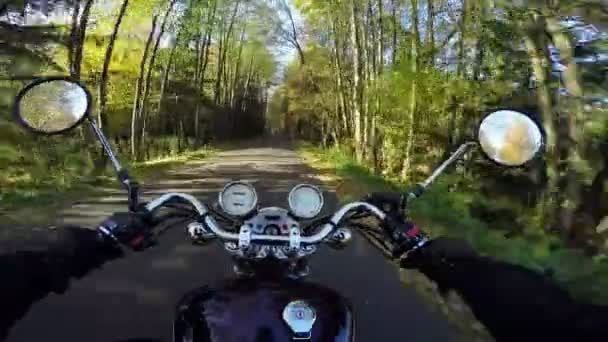 Geweldige Motorrijden Naar Ochtendzon Het Prachtige Bosrijke Weg Klassieke Kruiser — Stockvideo
