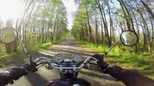 Geweldige Motorrijden Naar Ochtendzon Het Prachtige Bosrijke Weg Klassieke Kruiser — Stockvideo