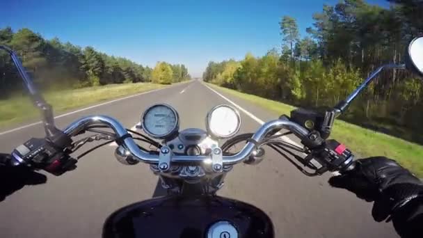 朝は美しい道に乗って高速バイク クラシック クルーザー チョッパー永遠に — ストック動画