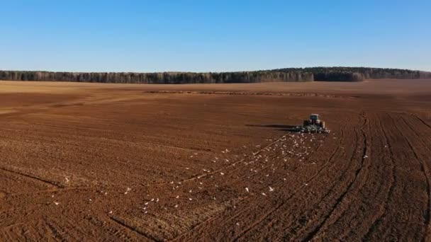 Letecký Pohled Zemědělský Proces Chmování Traktoru Jejich Očkování Setí Zemědělských — Stock video