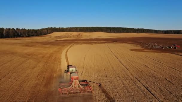 Aerial View Agriculture Process Tractors Plows Makes Seeding Sowing Agricultural — Stock Video