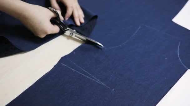 裁缝裁剪面料。女孩自定义模板 — 图库视频影像