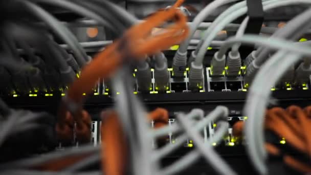 Свет и соединения на сетевом сервере. загруженные сетевые медиа конвертеры и Ethernet коммутаторы — стоковое видео