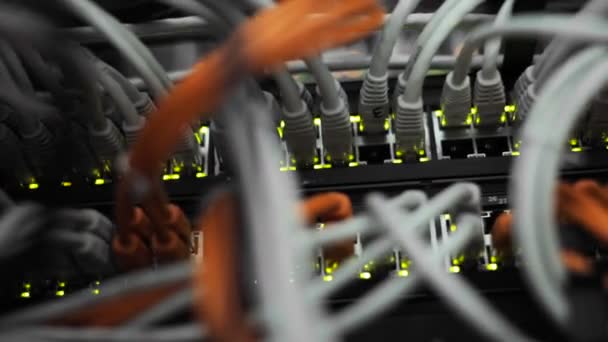 Luces y conexiones en el servidor de red. convertidores de medios de red cargados e interruptores Ethernet — Vídeo de stock