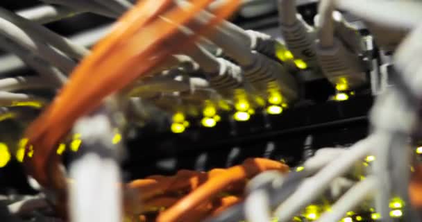 Luces y conexiones en el servidor de red. convertidores de medios de red cargados e interruptores Ethernet — Vídeos de Stock