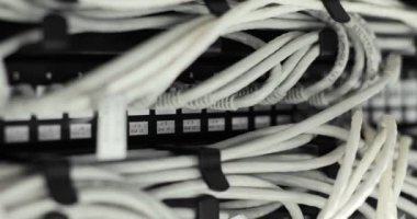 Gigabit ethernet ağ anahtarı ile kedi 5, 5e, anahtar veri merkezlerinde 6 yama kablosunun.