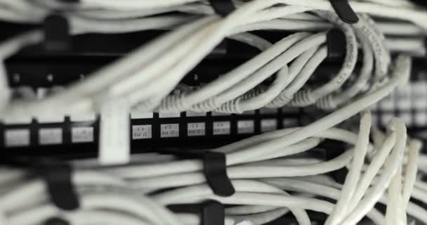 Interruptor de rede Gigabit ethernet com cabo de patch cat 5, 5e, 6 no switch no datacenter . — Vídeo de Stock
