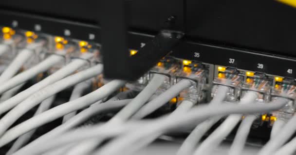 Światła i połączeń na serwerze sieciowym. Konwertery mediów załadowany sieci i przełączniki sieci ethernet — Wideo stockowe