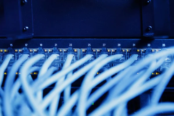 Veri merkezinde ağ paneli, anahtar ve kablo