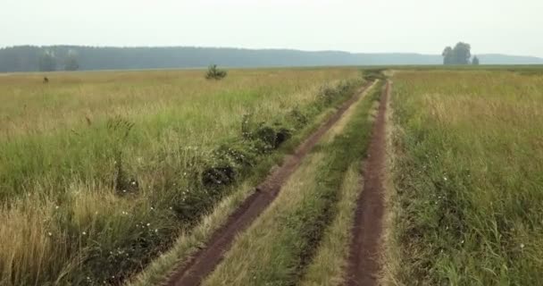 Conduz no campo. Campos Somerset . — Vídeo de Stock