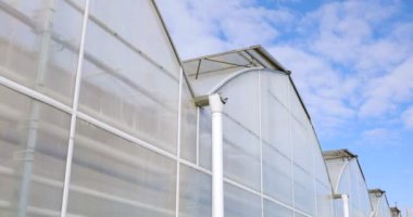 güzel plastik seralar ve veggie bahçe ile ekili sebze